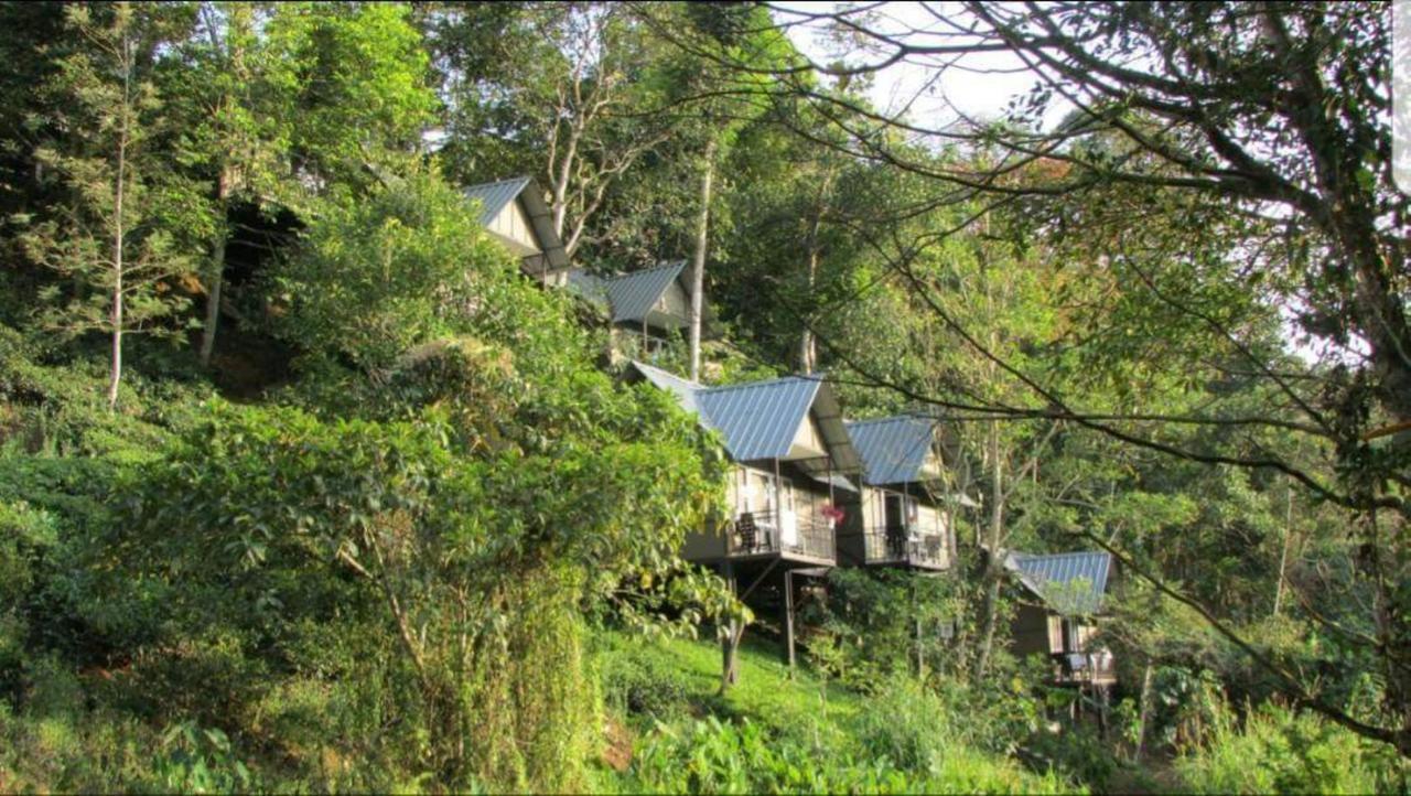 Moselberg Riverside Cottages Munnar Luaran gambar