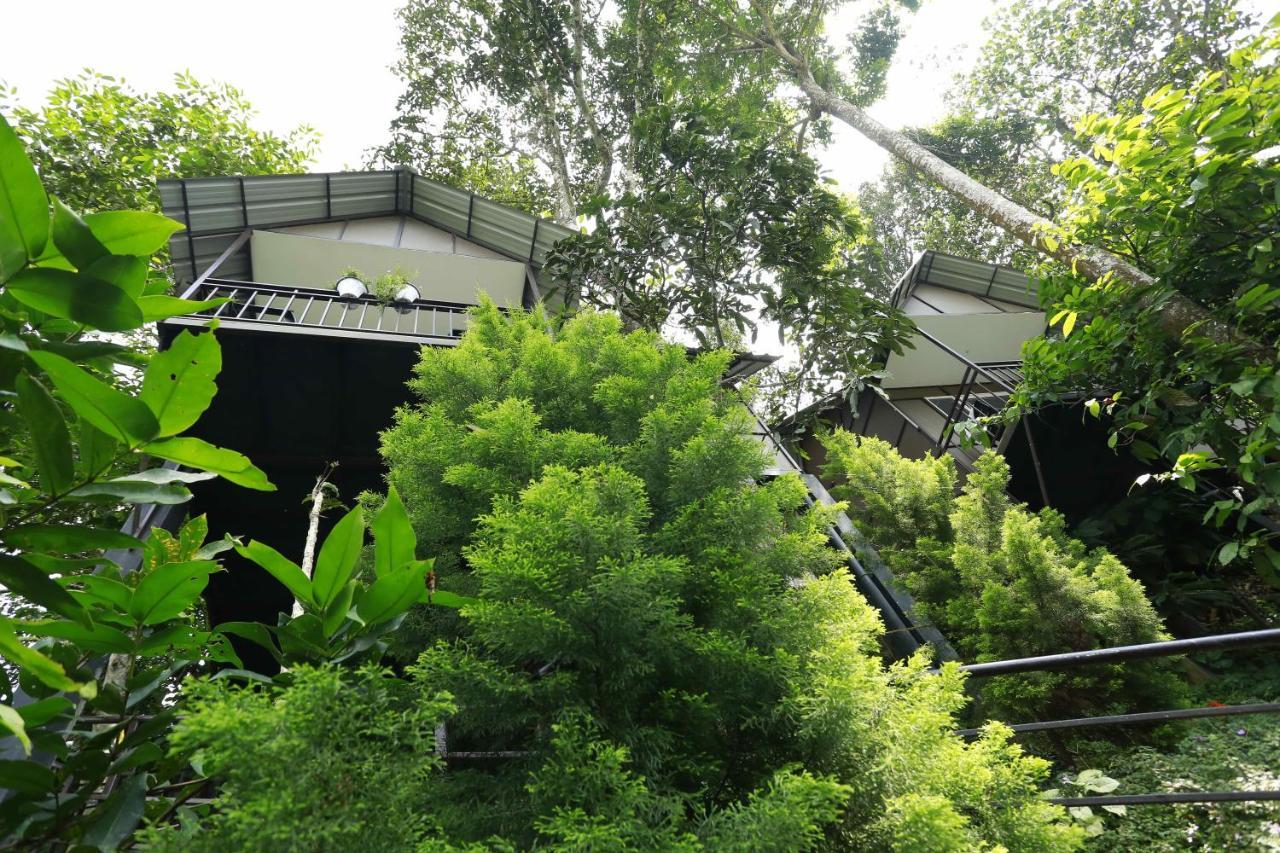 Moselberg Riverside Cottages Munnar Luaran gambar