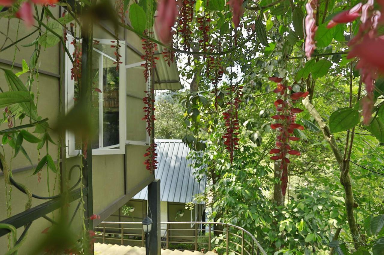 Moselberg Riverside Cottages Munnar Luaran gambar