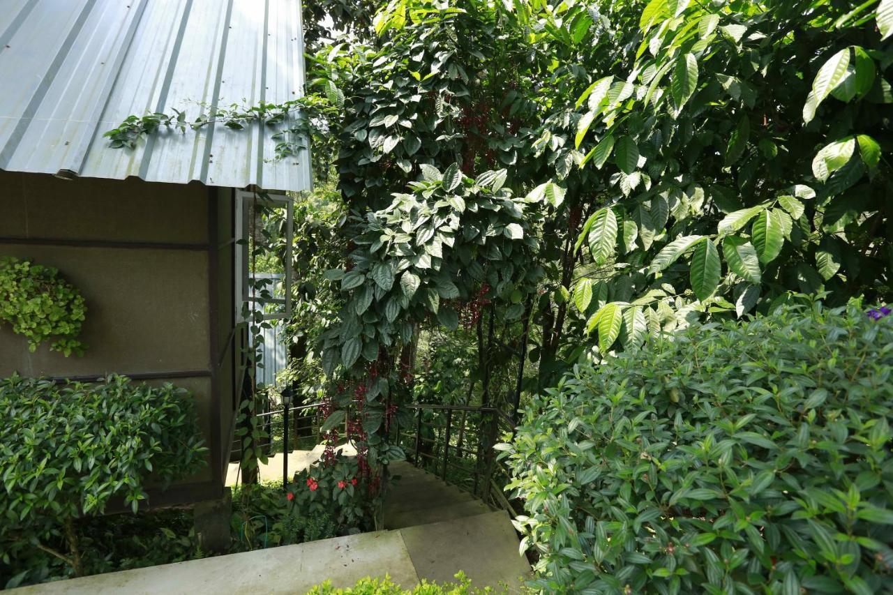 Moselberg Riverside Cottages Munnar Luaran gambar